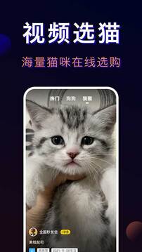 寵物寶截圖1