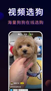 寵物寶截圖2