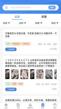 養(yǎng)豬寶截圖4