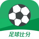 球掌柜
