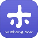 小木蟲(chóng)