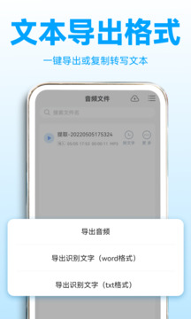 錄音轉(zhuǎn)文字助理截圖4